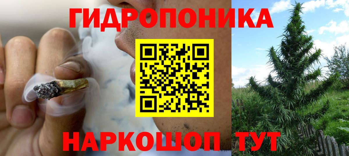 Конопля Ganja  Вход с VPN  Бошки марихуана Ganja  МАРИХУАНА конопля  МАРИХУАНА гибрид  Великий Устюг 