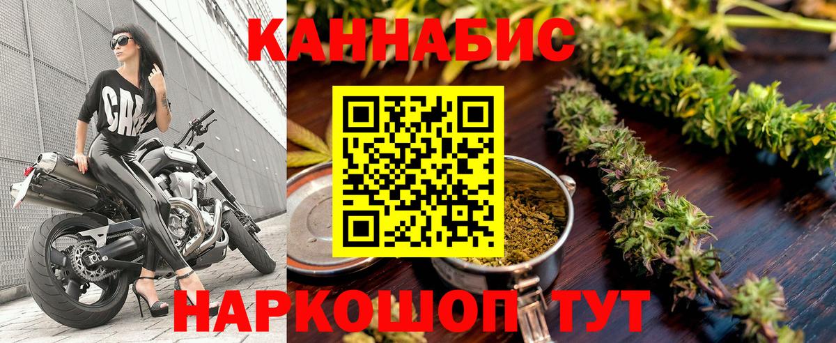 Конопля OG Kush Великий Устюг